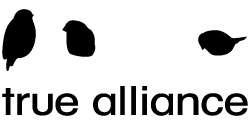 B2b Store